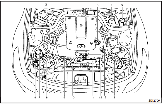 Engine compartment