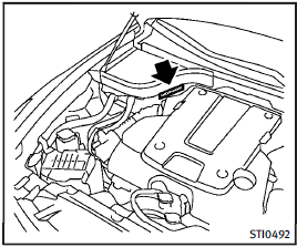 Vehicle identification number (chassis number)